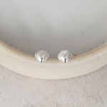 Sterling silver Cornish shell studs handmade by Lucy Kemp Jewellery 